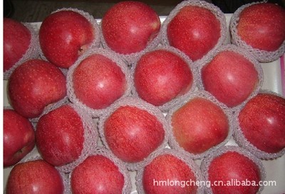 供應嘎啦蘋果 品質優良，產地直供